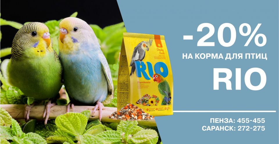 Счастливый слон ветеринарная клиника в Пензе и Саранске - телефон ...