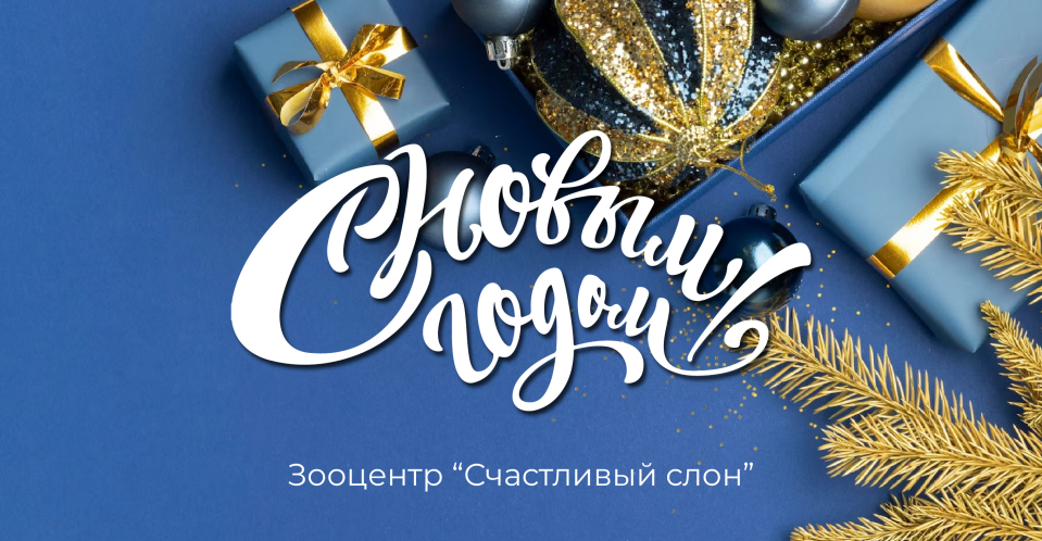 Счастливый слон ветеринарная клиника в Пензе и Саранске - телефон ...