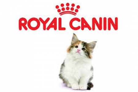 Королевская трапеза Вашей кошки. Обзор корма Royal Canin