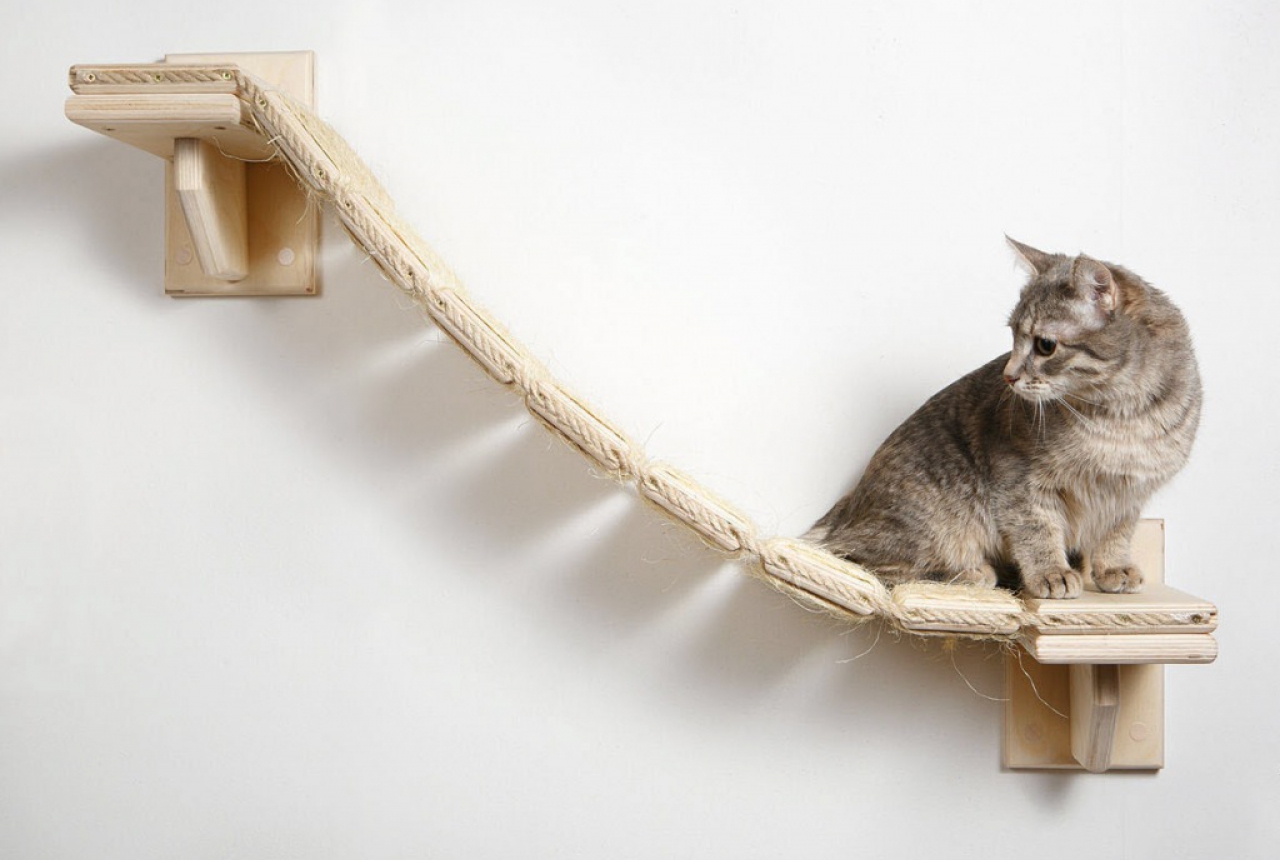 Комплексы-домики для кошек